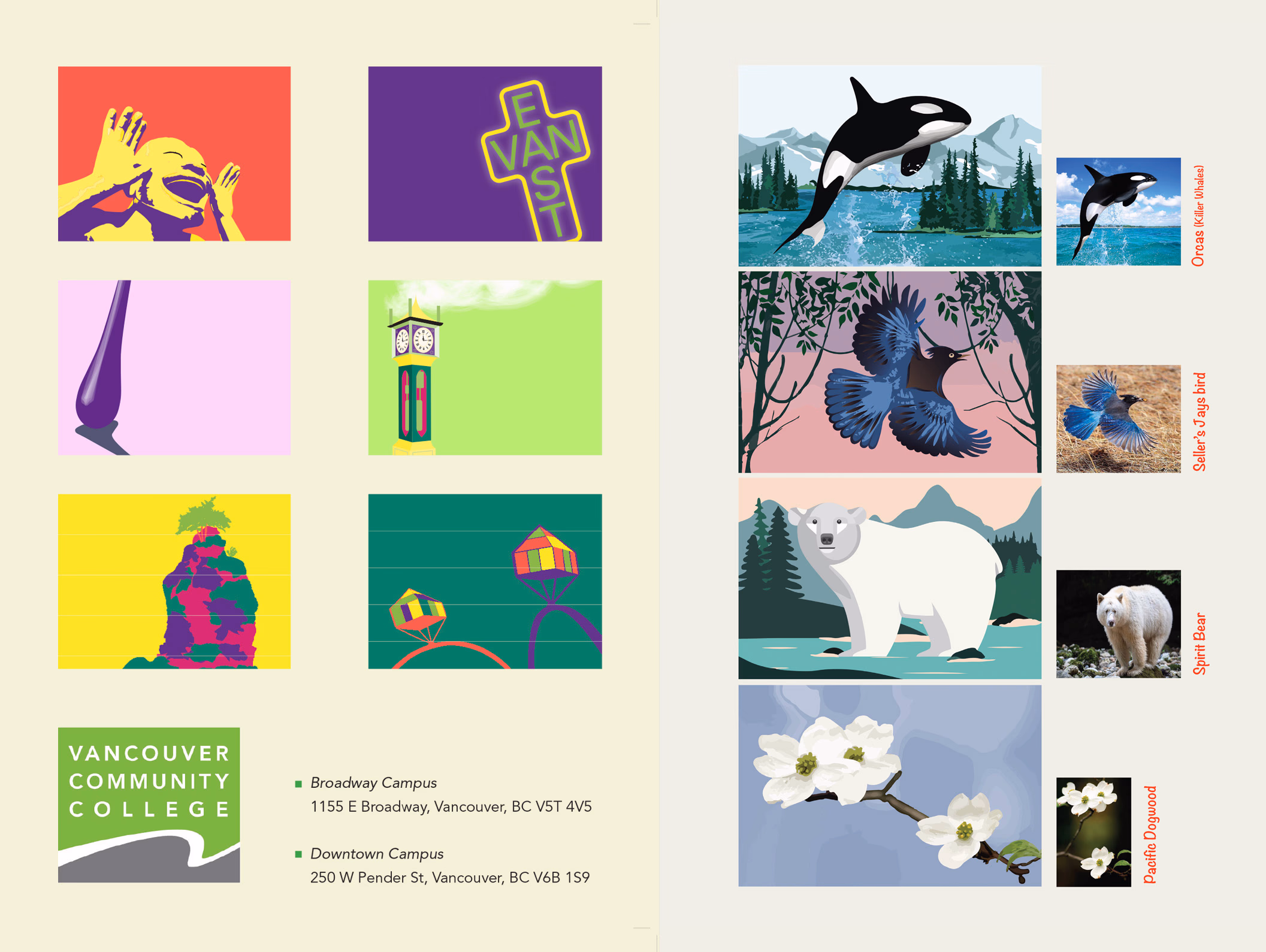 Previous Design vs. My Vision